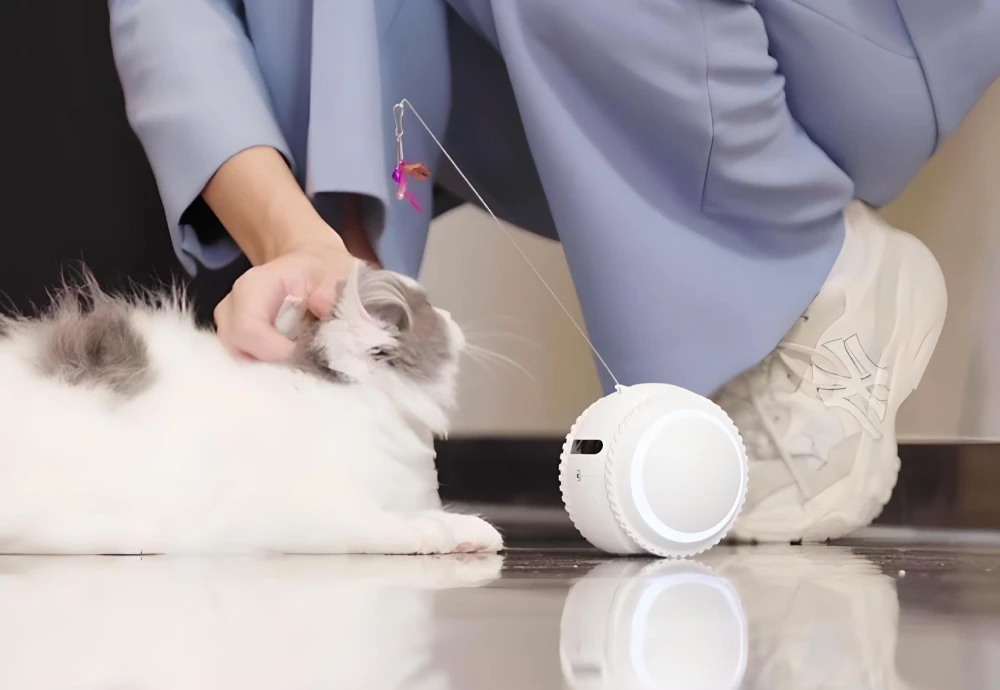 camera for pet photography