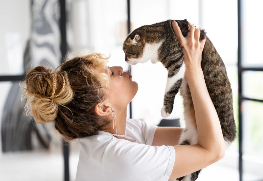 interactive pet camera for cats